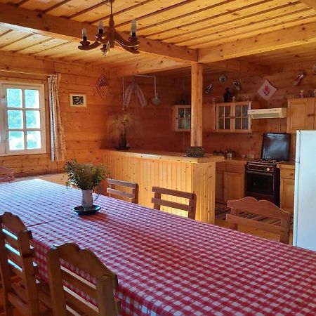 Casa Edelweiss - Gyopar - Flore De Colt Rimetea Εξωτερικό φωτογραφία