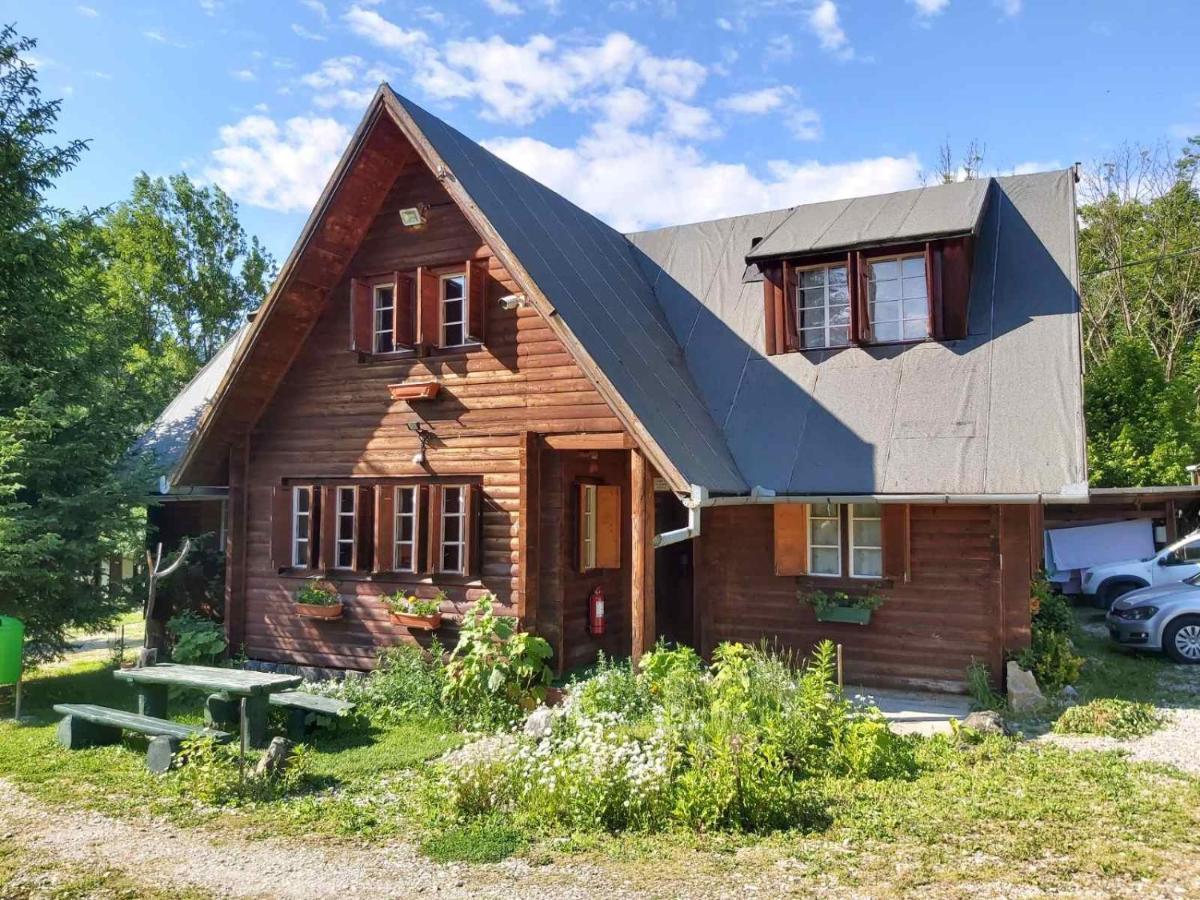Casa Edelweiss - Gyopar - Flore De Colt Rimetea Εξωτερικό φωτογραφία
